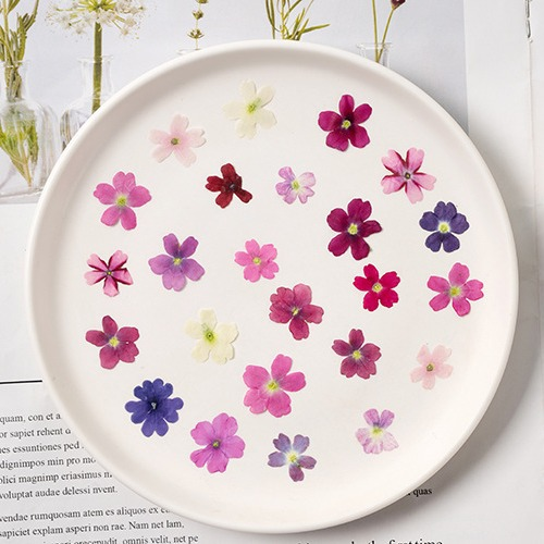 60Pcs Various Mini Dried Flowe - Beauty Makeup Bridal 评论和价格