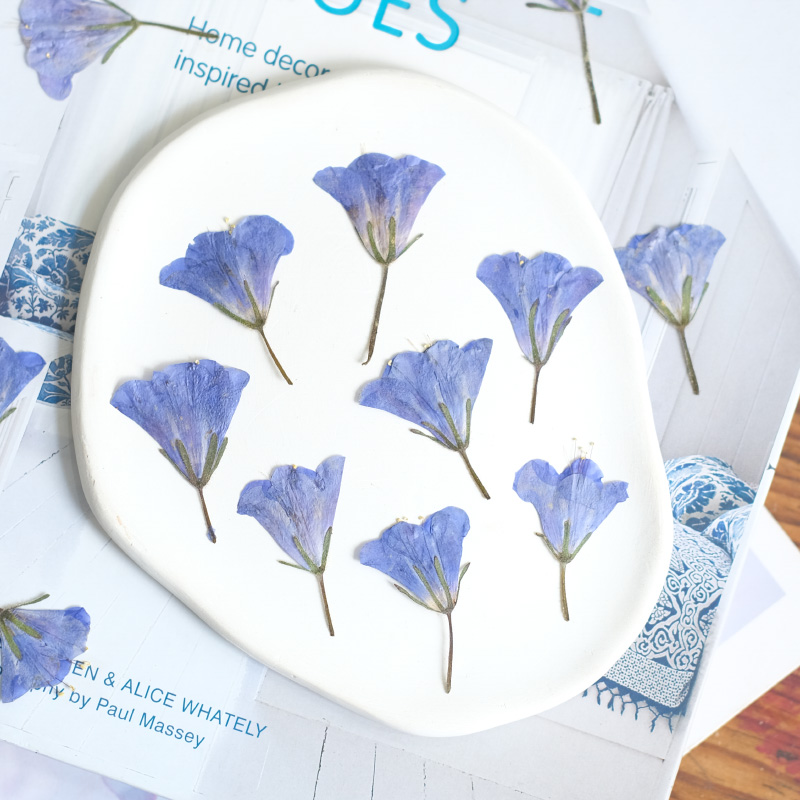 12pcs/3-5cm,nature Bluebell Em - Beauty Makeup Bridal 评论和价格