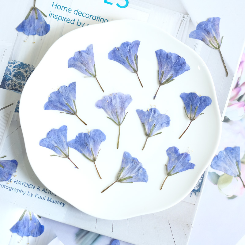 12pcs/3-5cm,nature Bluebell Em - Beauty Makeup Bridal 评论和价格