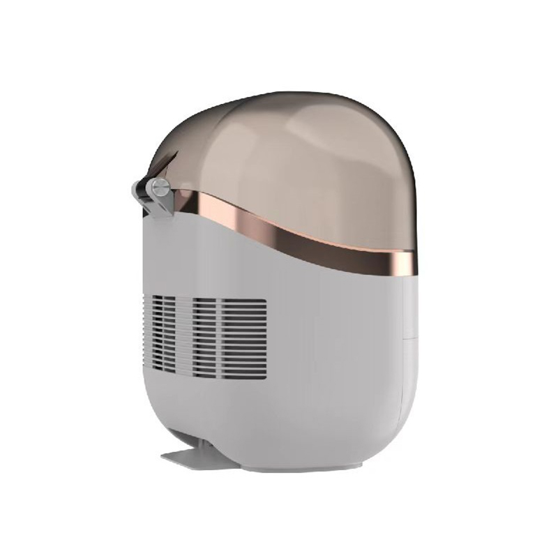 22L Portable Skincare Fridge - - Beauty Makeup Salon 评论和价格