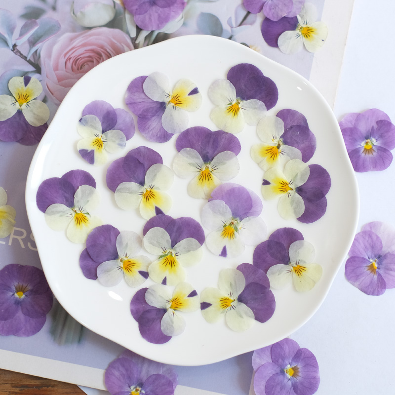 12pcs,nature Pansy Dried Flowe - Beauty Makeup Bridal 评论和价格